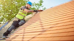 Best Roof Insulation Installation  in Stagecoach, NV